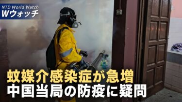 【ダイジェスト版】米国務院が2024年人権報告を発表 中共の越境弾圧を暴露/チクングニア熱が拡大 中国6省を最高リスク区に指定  など｜NTD