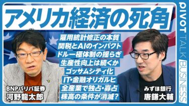 【アメリカ経済の死角】雇用統計修正をどう見るか／ドル一極体制の揺らぎ／生産性向上は続くか／ゴッサムシティ化する社会／IT・金融オリガルヒの誕生／全産業で独占・寡占／株高の条件が消滅／米国株以外の投資先