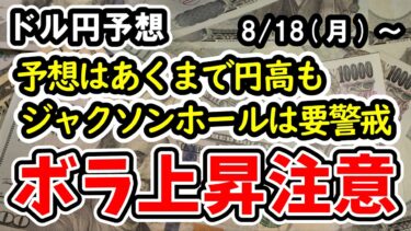 【ドル円】大きな値動きは伴わず安定的な推移を予想、それでも警戒したジャクソンホール会議でのパウエルFRB議長講演後の相場の波乱【週間ドル円予想