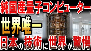 世界で初めて国産部品だけの量子コンピューターを開発！日本の技術に世界が驚愕！