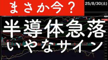【まさかいま？】米半導体が急落！なぜ？嫌なサイン！#nvidia #soxl