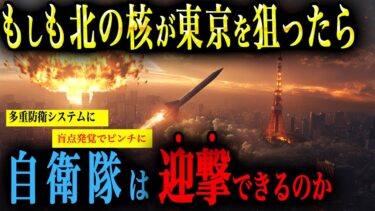 【日本最悪の日】もしも北の核ミサイルが東京を狙ったら…自衛隊はどう動くのか？【AIシミュレーション】