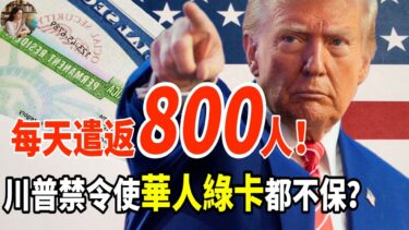 每天遣返800人！川普移民禁令被叫停：華人綠卡都不保？#美國移民 #川普政策 #移民禁令 #遣返潮 #華人綠卡 #美國政治 #移民政策 #綠卡危機#美國社會