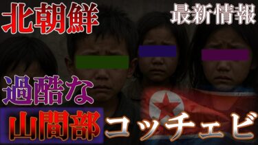 北朝鮮のホームレス児童コッチェビとは？山間部で暮らすコッチェビ【最新版】