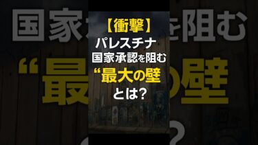 【衝撃】パレスチナ国家承認を阻む“最大の壁”とは？世界が見た現実