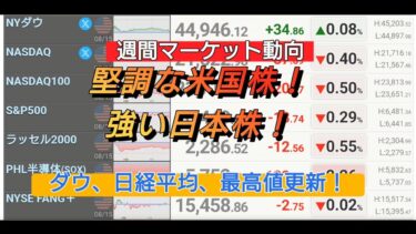 【週間マーケット動向】堅調な米国株、力強い日本株！ダウ、日経平均最高値更新！【株式投資】