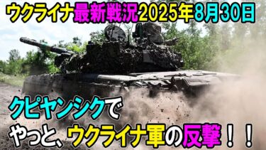 【ウクライナ戦況】25年8月30日。