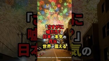 【海外の反応】「さすがに嘘だろ？」日本の本気の花火に世界が震える#shorts