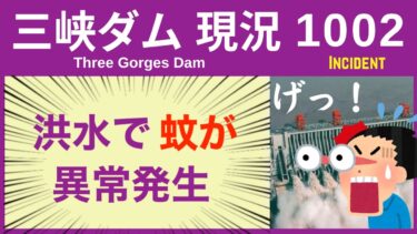 ● 三峡ダム ● ダメだ！洪水で蚊が異常発生 08-23 中国の最新情報 直播ライブ  今すぐ決壊しないが ・・・3兆円をかけた巨大プロジェクトの行末