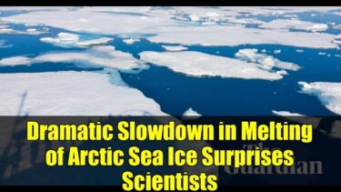 Dramatic Slowdown in Melting of Arctic Sea Ice Surprises Scientists