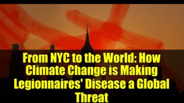 From NYC to the World: How Climate Change is Making Legionnaires’ Disease a