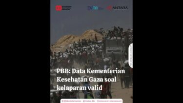 PBB: Data Kementerian Kesehatan Gaza soal kelaparan valid