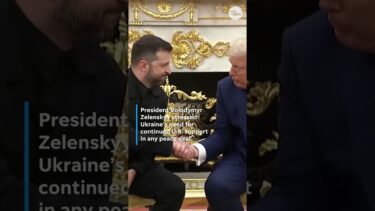 Trump, Zelenskyy eye Ukraine peace, Putin summit possibility #Shorts