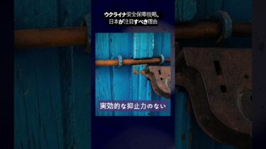 ウクライナの安全保障戦略、日本が注目すべき理由