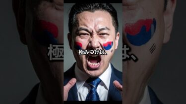 🌸永住権取り消しに激怒する韓国元外交官の末路 #shorts #海外の反応 #日本賞賛
