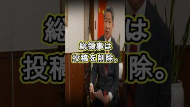 日本保守党に中国外交官完全敗北ww #shorts #日本保守党 #有本香 #外交官