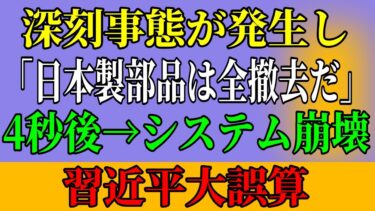 【衝撃事実】中国EV産業崩壊の真相！日本技術排除の恐るべき代償に世界が震撼！！