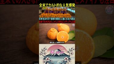 【海外の反応】日本生まれの『禁断の果実』が爆発的人気に!!全米で虜になる人続出!!全米での大きなトレンドにCNNなどメディアも注目!!【日本称賛】