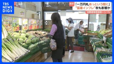 “猛暑インフレ”が秋まで影響？　生育不良・出荷減少で食卓直撃　物価上昇で「家計負担感が高まる」専門家が予想｜TBS NEWS DIG