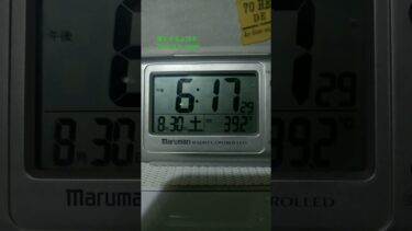 暑すぎるよ日本/Too hot in Japan #japan #hot #暑い #異常気象 #夏 #goodluck #goodvibes