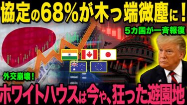【ゆっくり解説】「経済の天才」は世界の笑い者へ【海外の反応】