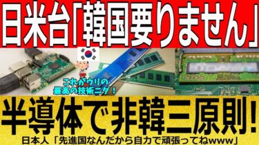 【ゆっくり解説】韓国半導体「売れない！」メモリー半導体技術なし！　韓国ゆっくり解説（爆）