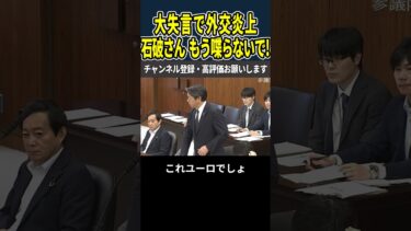 【これはまずいね】総理発言で国際大炎上!日本の信用失墜か!?【国民民主党/玉木雄一郎/榛葉賀津也】