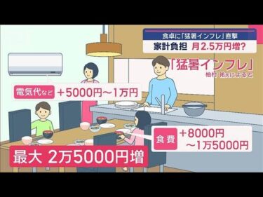 食卓に「猛暑インフレ」直撃　家計負担 月2.5万円増？【スーパーJチャンネル】(2025年8月19日)