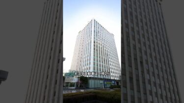 日経平均657円安で続落　半導体株に売り集中・ジャクソンホール会議前の警戒感【2025年8月20日】 #株式投資 #日本株