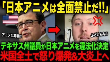 【海外の反応】アニメ人気に嫉妬したテキサス州議員が全会一致で作品を禁止にする法案を可決！米国全土で怒り爆発＆炎上へ