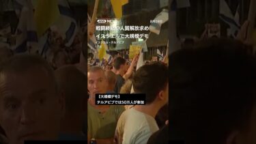 イスラエルで大規模デモ“軍事作戦拡大に反対”　戦闘終結や人質解放求める　#shorts