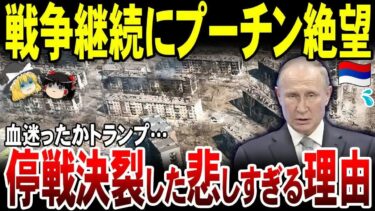 【ゆっくり解説】血迷ったトランプ！ロシアとウクライナの停戦決裂した悲しすぎる理由。