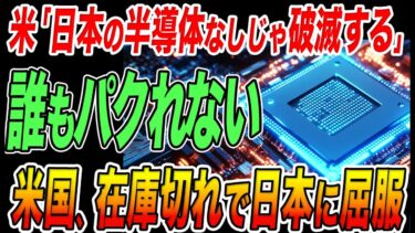 米国「日本の半導体なしで破滅」在庫40日→5日で工場崩壊、日本だけが動き続けた真実【海外の反応】