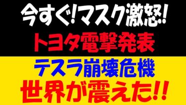 トヨタ、世界経済裁判所に提訴！テスラに迫る危機