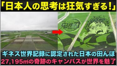 【海外の反応】「これは本当に田んぼか？」日本の田んぼに『鬼滅の刃』が出現！？ギネス認定の巨大アートに世界騒然