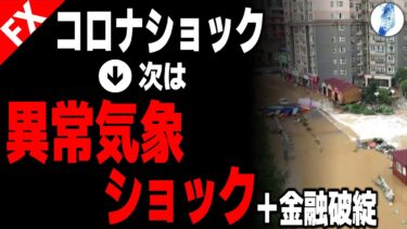 【次のパンデミックは異常気象 中国三峡ダム、災害、世界の被害状況】【米国金利 ビットコイン ドル円】コロナショック→次は異常気象ショック＋金融破綻
