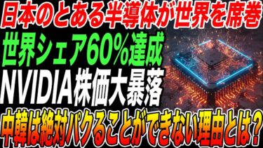 日本のとある半導体が世界を席巻！世界シェア60%でNVDIA大暴落！中韓は絶対にパクることができない理由とは？【海外の反応・日本の技術】