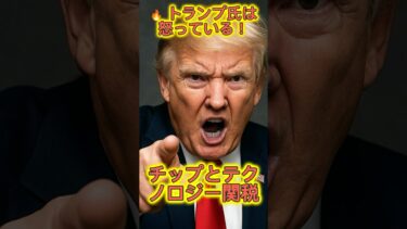 25/08「トランプ大統領は激怒し、半導体やテクノロジー製品に関税を課すと脅している」
