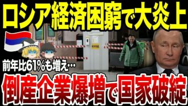 【ゆっくり解説】ロシア倒産企業爆増で経済困窮へ！前年比60%超えの増加…。さらに軍事大国スウェーデンのNATO加盟で敗戦濃厚に。