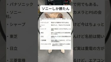 みんなの推し企業教えて#海外の反応 #衝撃の事実 #日本 #パナソニック#ソニー #シャープ#東芝 #日立 #三菱電機 #アイリスオーヤマ