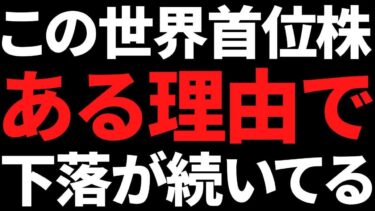 あの世界トップシェアの有名高配当株とある理由で下落し続けてます