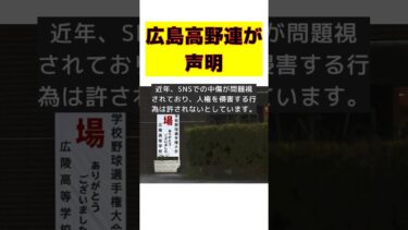 広島県高野連が選手への誹謗中傷に対する毅然とした対応を発表！ #反応集 #Shorts #広島県高校野球連盟 #誹謗中傷 #差別的言動 #法的措置 #人権