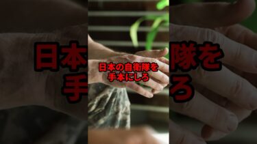 「日本の自衛隊を手本にしろ」海外の部隊が自衛隊の行動を手本にした理由　#shorts #海外の反応