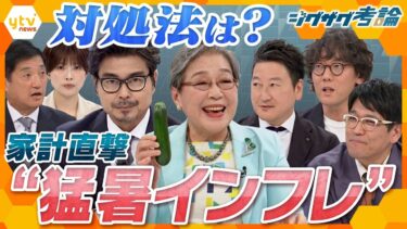 【ジグザグ考論】エアコンの使い過ぎで電気代が…　暑すぎて野菜の価格が…　家計が悲鳴！猛暑インフレにどう対処する？【ニュースジグザグ】
