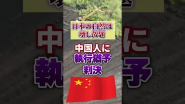 【移民問題】日本の自然を壊した中国人 衝撃の判決【外国人｜甘い日本の司法】自民党｜石破茂｜日本人ファースト #shorts
