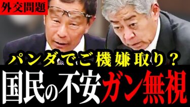 【岩屋毅】まだパンダ外交？完全に出遅れている日本外交に和田有一郎がブチギレ！【岩屋外務大臣/国会中継】