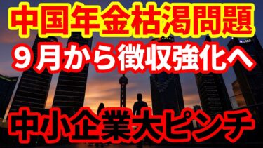【中国経済】９月から社会保険料の徴収強化へ！年金財源枯渇問題がいよいよ先送りできない状況に！
