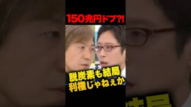 脱炭素は利権ビジネスだった！150兆円で気温が0.006℃しか下がらない茶番…アメリカも中国もインドもロシアもやらないのに日本だけ脱炭素？メガソーラーもEVも太陽光も全部利権じゃねぇか！#竹田恒泰