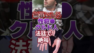 【クルド人】移民問題｜無罪にしろ｜控訴決定【石破茂｜岸田の宝】自民党｜日本人ファースト #shorts