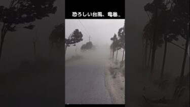恐ろしい台風、竜巻#恐怖#注意喚起#異常気象#台風#竜巻@キャリア40年以上のプロ馬券